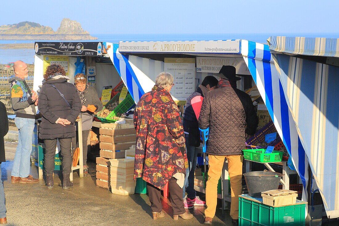 France,Ille et Vilaine,Emerald Coast,Cancale,oyster market on the seafront