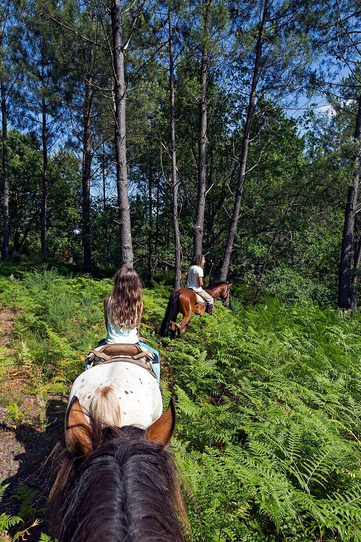 Frankreich,Gironde,Val de L'Eyre,Parc Naturel Régional des Landes de Gascogne,Ausritt mit Caballo Loco,einer chilenischen Familie, die sich auf Reitkunst spezialisiert hat(Luftaufnahme)