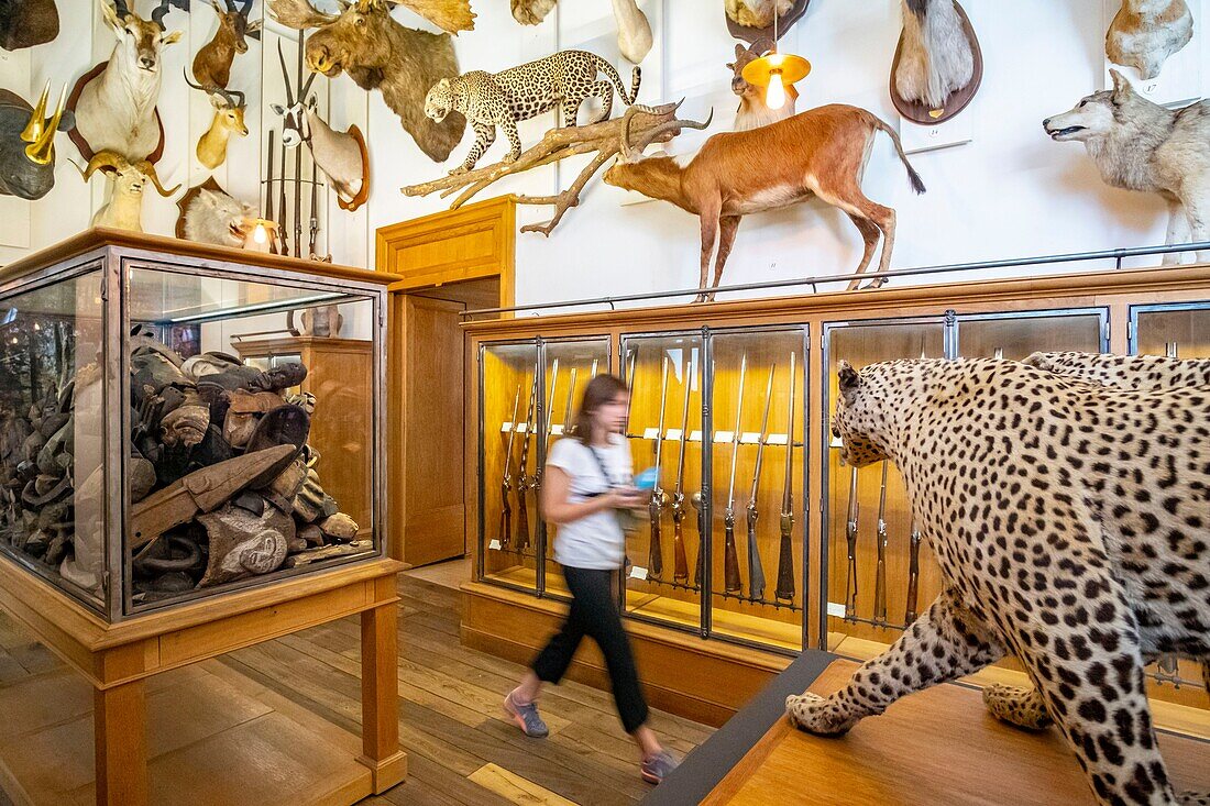 France,Paris,Marais district,the museum of Hunting and Nature