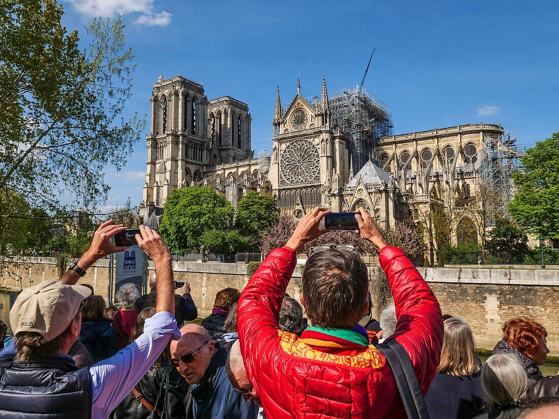 Frankreich,Paris (75),Weltkulturerbe der UNESCO,Kathedrale Notre Dame,17. April 2019,2 Tage nach dem schrecklichen Brand, der den gesamten Rahmen verwüstete, kam eine dichte Menschenmenge, um die durch den Brand vom 15. April 2019 verursachten Schäden zu sehen