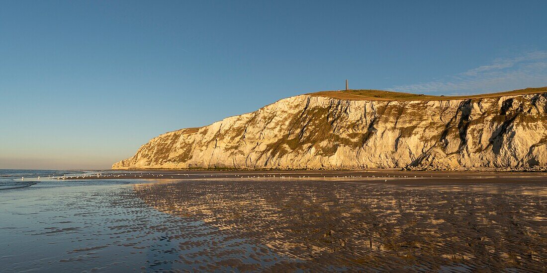 France,Pas de Calais,Opal Coast,Great Site of the two Caps,Escalles,Cap Blanc nez,the beach of Escalles and the cliffs of Cap Blanc Nez