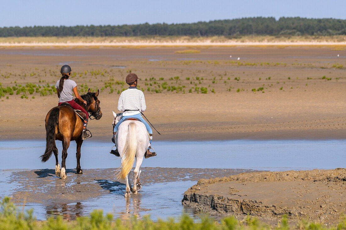 France,Somme,Baie de Somme,Natural Reserve of the Baie de Somme,riders in the Baie de Somme