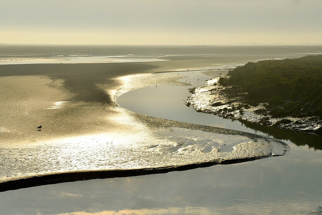 France,Somme,Baie de Somme,Saint Valery sur Somme,mouth of the Somme Bay at low tide