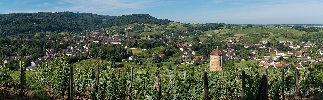 Frankreich,Jura,Arbois,Panoramablick auf die Stadt inmitten der Weinberge und den Turm von Canoz
