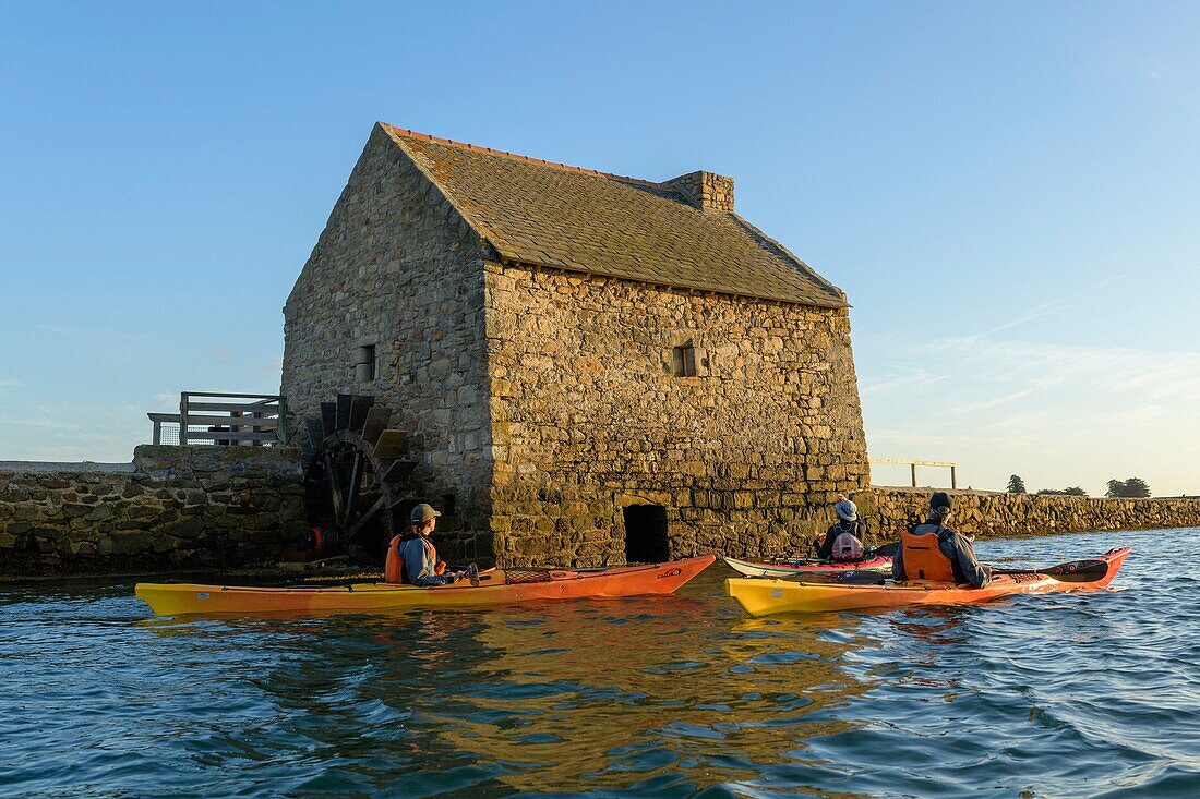 France,Morbihan,Arz Island,canoe kayak trip in the Gulf of Morbihan at sunset,the tide mill of Berno