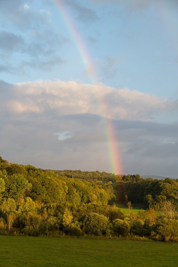 France,Jura,Arbois,rainbow after the storm on the trays intended for breeding