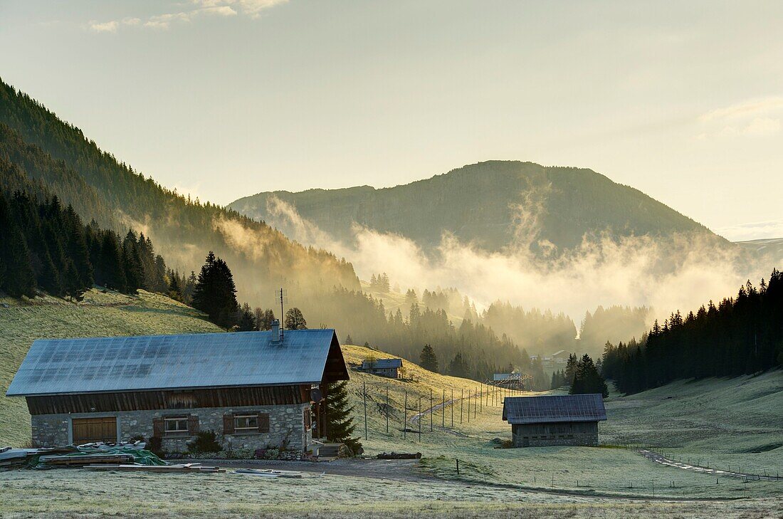 Frankreich,Haute Savoie,Glieres-Plateau,Bornes-Massiv,Nebeleffekt auf das Mandroliere-Tal bei Sonnenaufgang und die Leschaux-Felsen