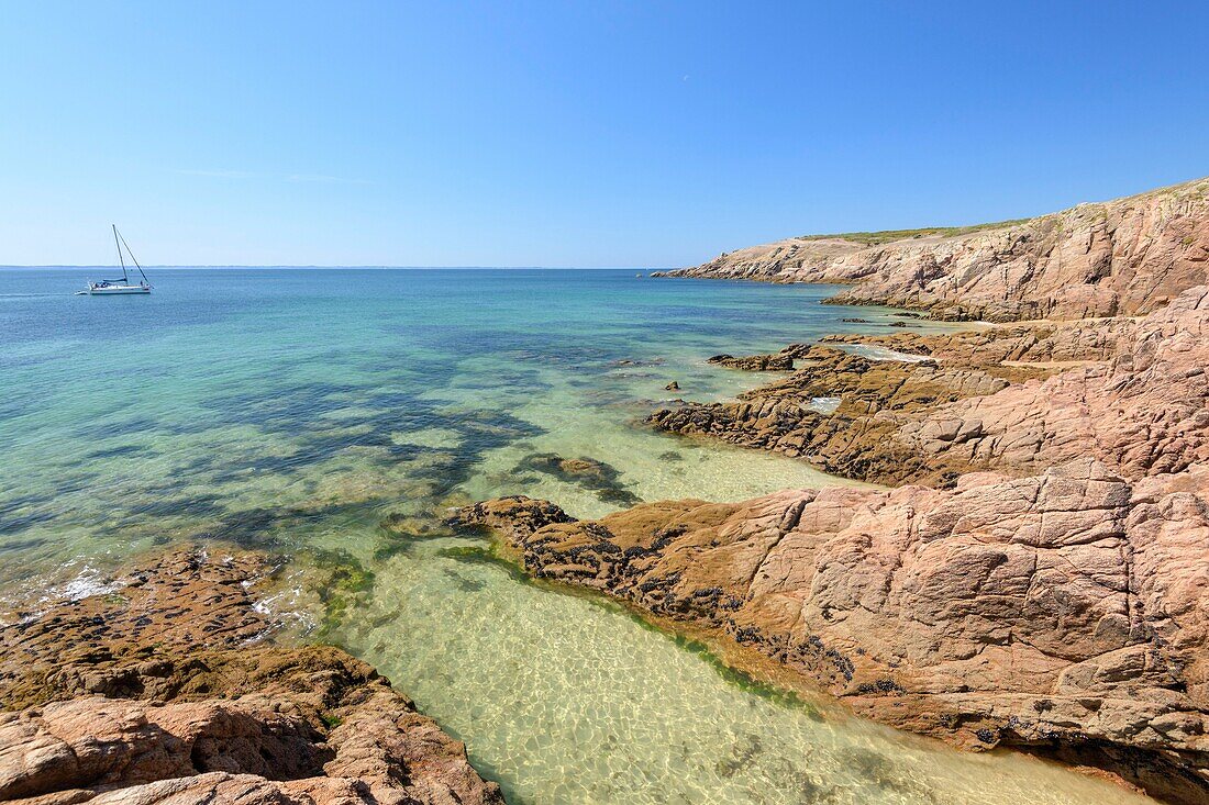 France,Morbihan,Houat,cote ouest,sentier entre Beg Salus et Portz Plouz