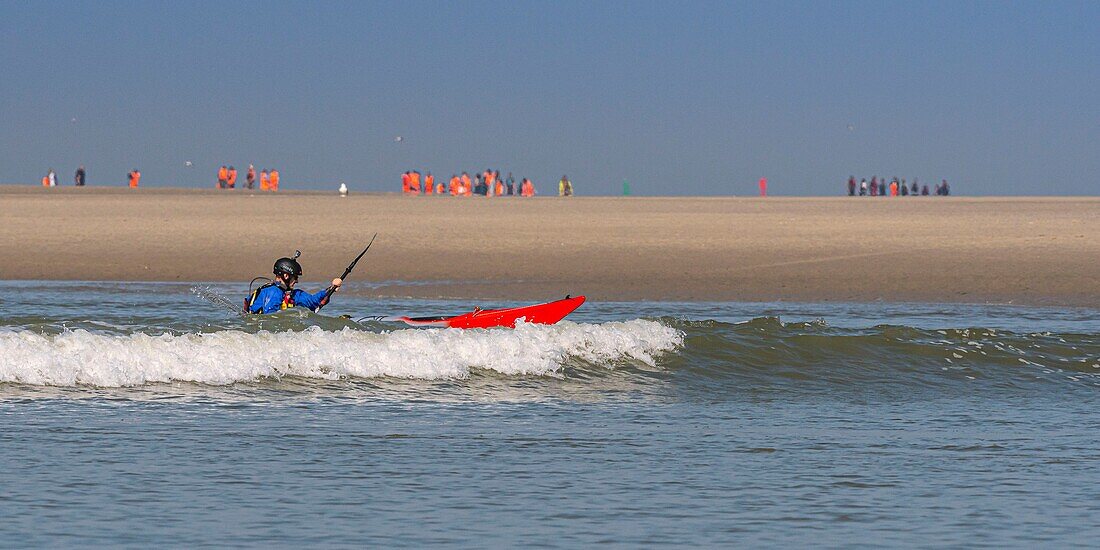 France,Somme,Baie de Somme,Le Hourdel,Indonesian canoes and canoe kayak during high tides,the boats come to wait for the flow and the tidal bore at the entrance of the bay and then go up helped by the strong current,sometimes accompanied by the seals,some fail their boat on the sandbanks to watch the birds dislodged by the tide