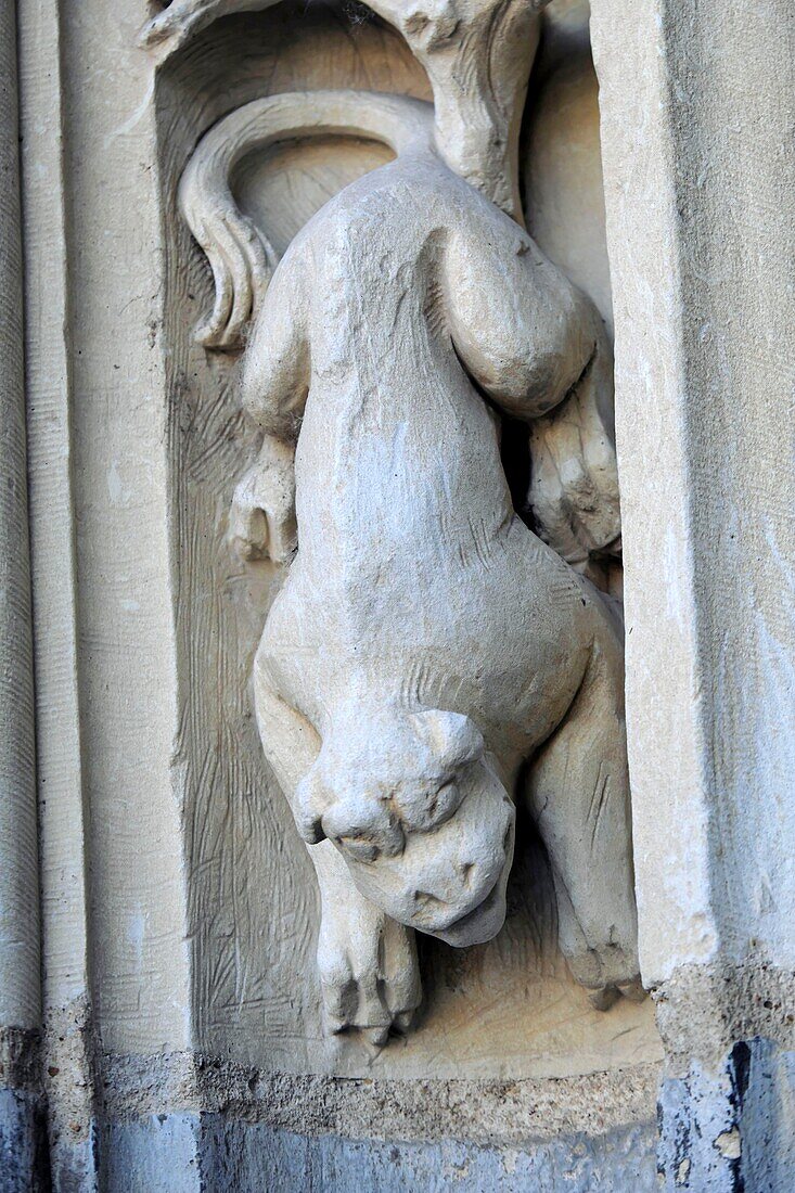 France,Indre et Loire,Tours,Saint Gatien cathedral,La Psalette cloister dated 15th and 16th century,sculpture,dog