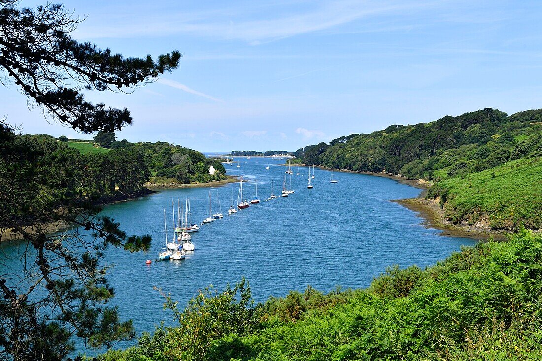 Frankreich,Finistere,Pays des Abers,Küste der Legenden,Plouguerneau,Aber Wrac'h bei Paluden