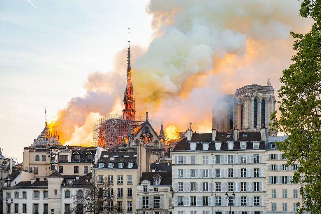 France,Paris,area listed as World Heritage by UNESCO,Ile de la Cite,Notre Dame de Paris Cathedral,fire which ravaged the cathedral on April 15,2019