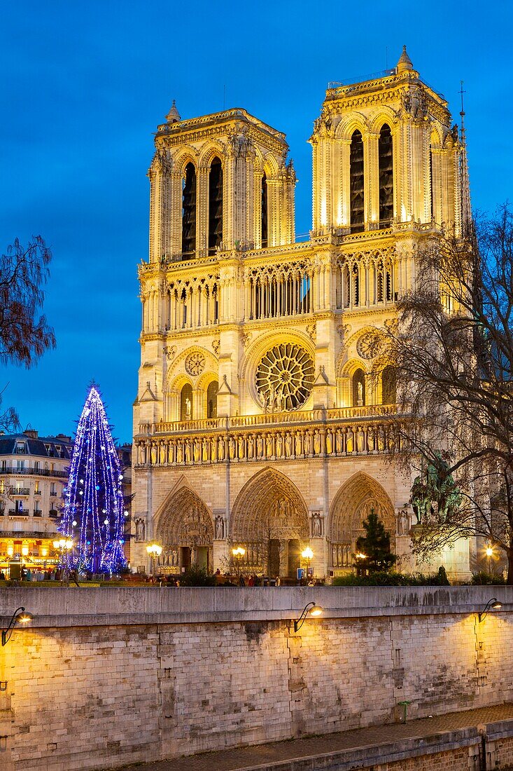 France,Paris,area listed as World Heritage by UNESCO,the banks of the Seine,the Ile de la Cite and the Notre Dame cathedral at Christmas