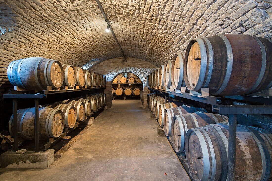 France,Jura,Chateau Chalon,barrels in the vault of the producer of yellow wine Berthet Bondet