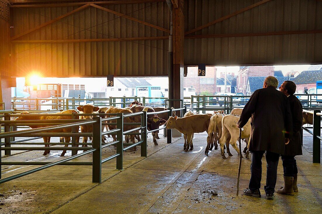 France,Seine Maritime,Forges les eaux,livestock market (mainly cows)