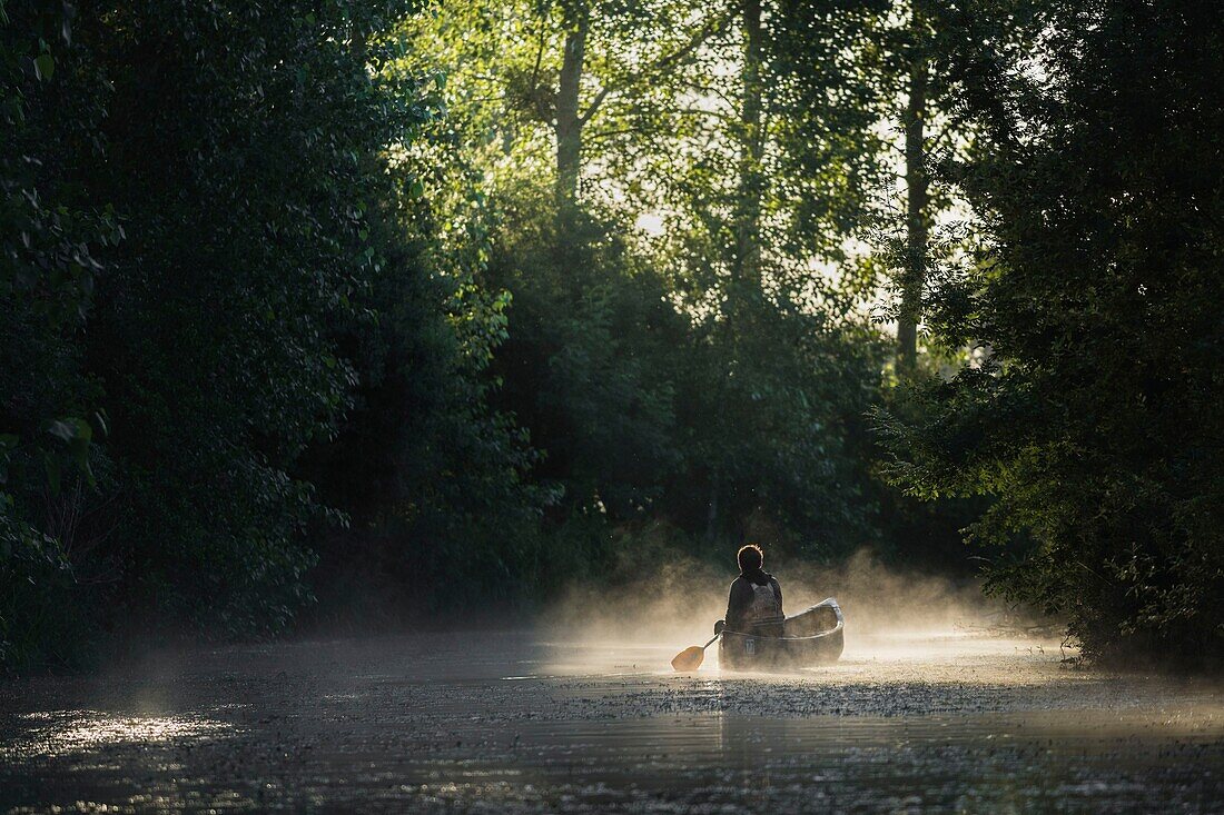 France,Morbihan,La Gacilly,kayaker in the marsh mist at Glenac