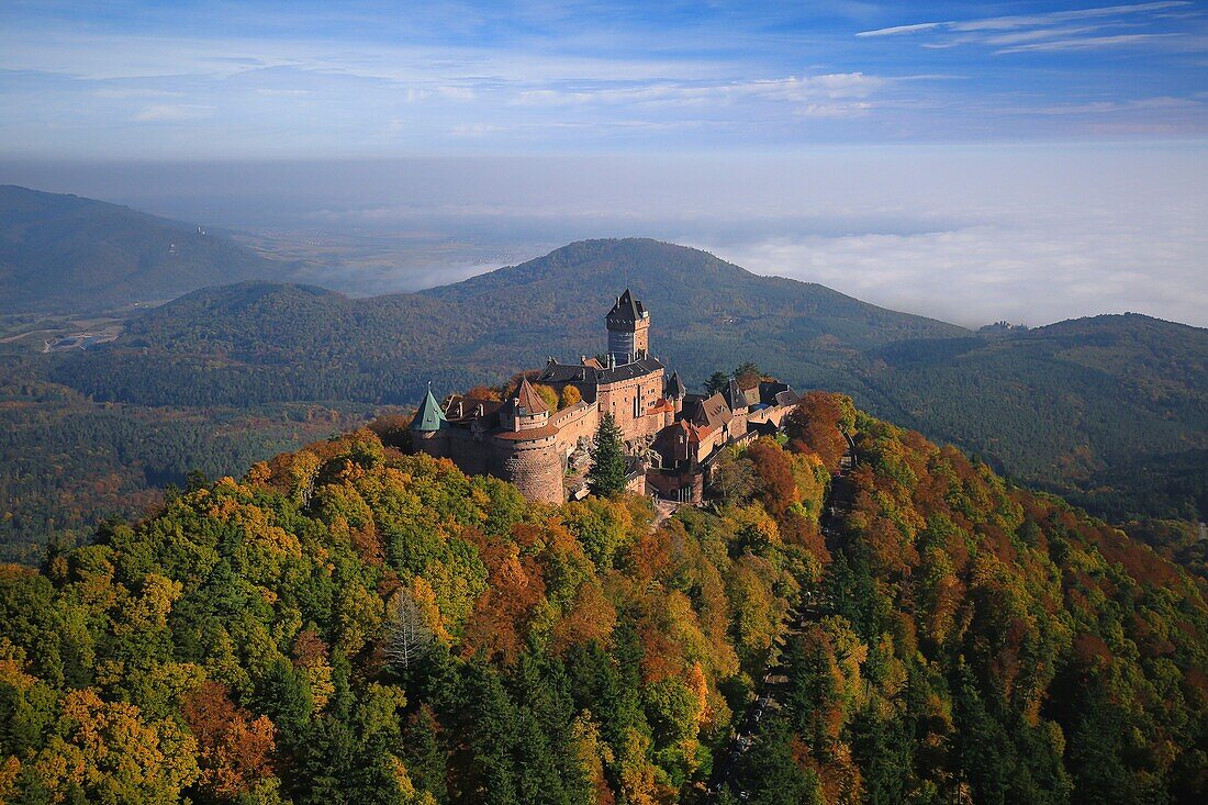 France,Bas Rhin,the Upper Koenigsbourg castle on the foothills of the Vosges and overlooking the plain of Alsace,Medieval castle of the 12th century,It is classified as a historical monument (aerial view)