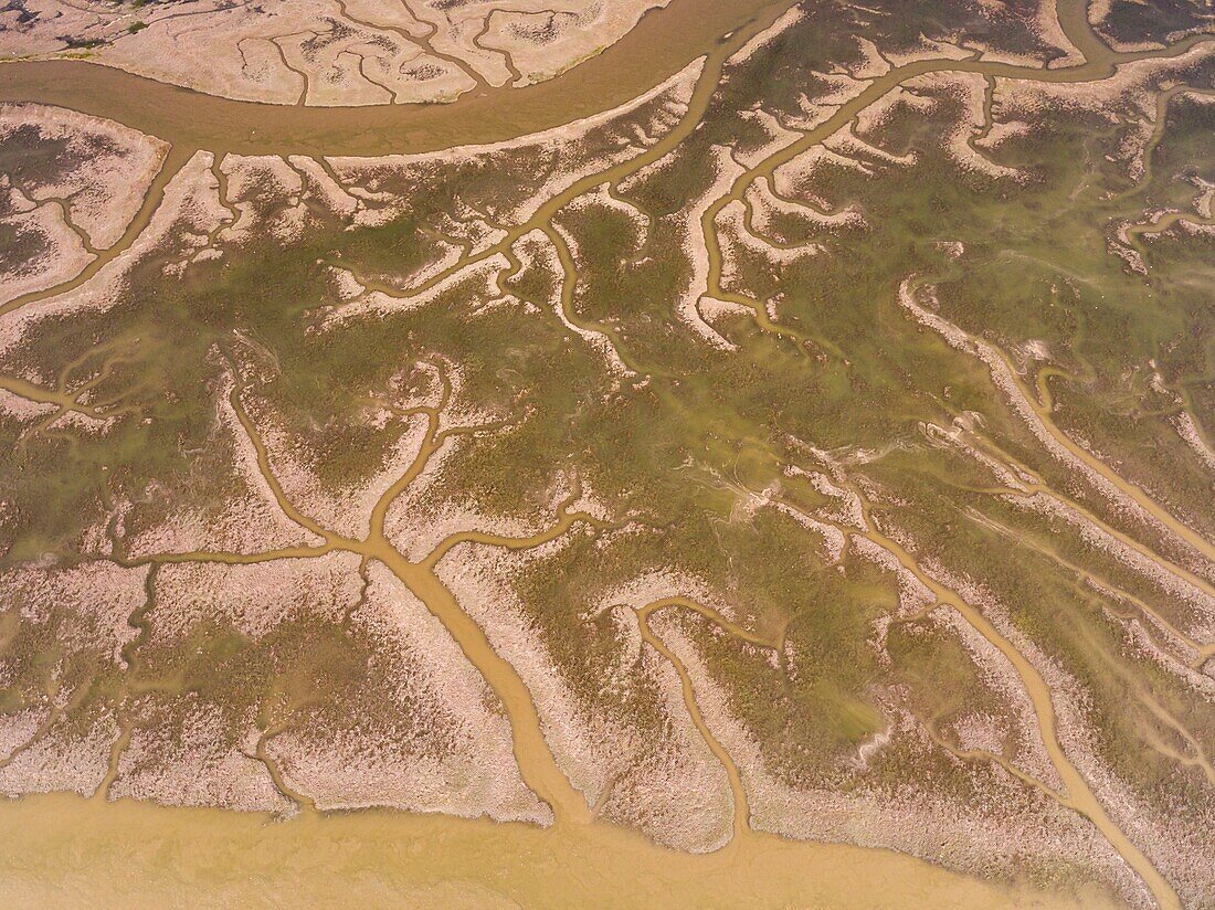 France,Somme,Baie de Somme,Saint Valery sur Somme,Cape Hornu,the salted meadows invaded by the sea during high tides,the channels and the ponds of hunting huts are then clearly visible (aerial view)