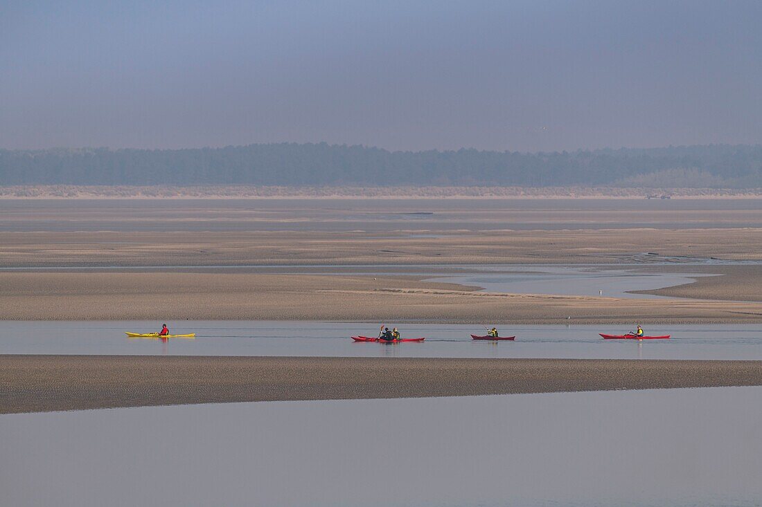 Frankreich,Somme,Baie de Somme,Le Hourdel,Indonesische Kanus und Kajaks bei Flut,die Boote kommen, um die Strömung und die Gezeiten am Eingang der Bucht abzuwarten und dann mit Hilfe der starken Strömung hinaufzufahren,manchmal in Begleitung von Robben,manche lassen ihr Boot auf den Sandbänken liegen, um die von der Flut vertriebenen Vögel zu beobachten