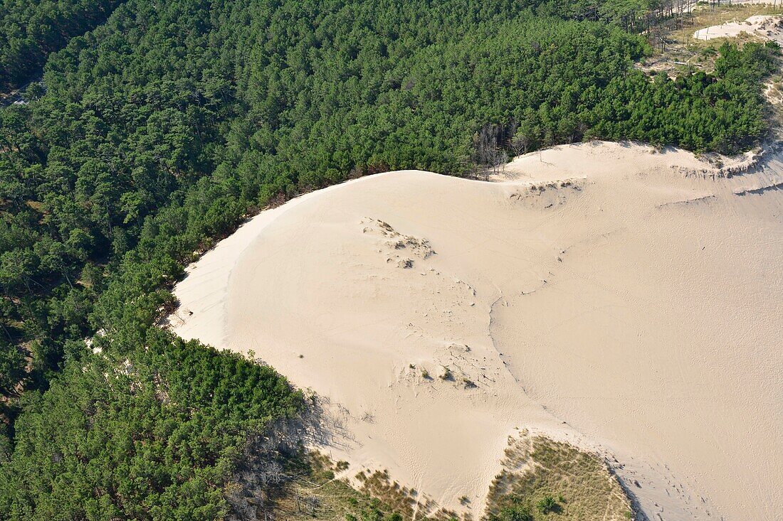 France,Gironde,Bassin d'Arcachon,Landes Forest,Dune du Pilat (the Great Dune of Pyla) (aeria view)