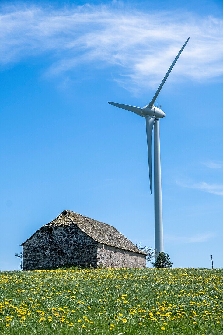 Frankreich,Aveyron,Windkraftanlage,Hochebene von Levezou bei Pont de Salars