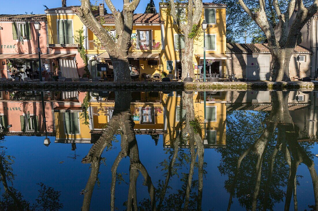 France,Vaucluse,Regional Natural Park of Luberon,Cucuron,the basin of the pond