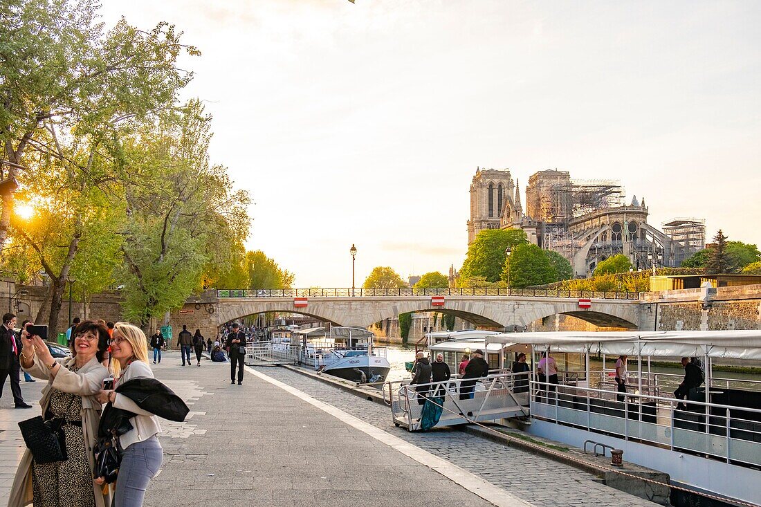 Frankreich,Paris,Gebiet, das von der UNESCO zum Weltkulturerbe erklärt wurde,Ile de la Cite,Kathedrale Notre Dame nach dem Brand vom 15. April 2019