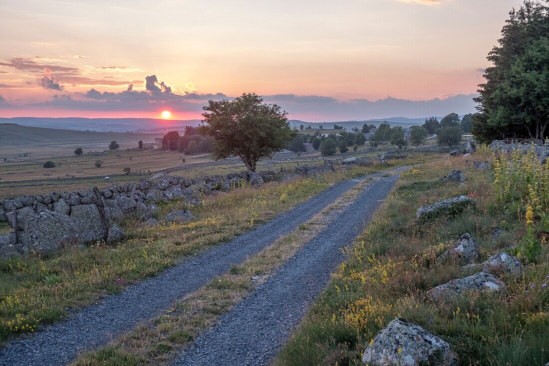 France,Lozere,Aubrac Regional Nature Park,Marchastel,Nasbinals