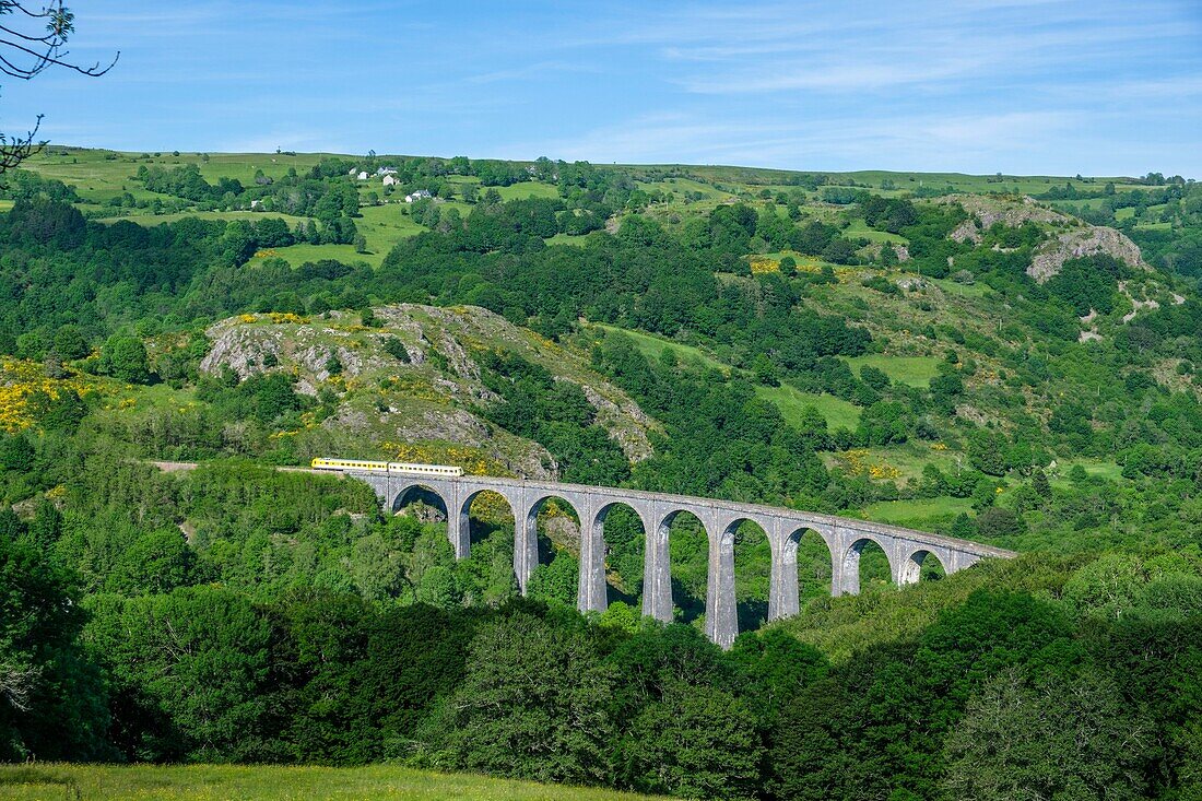 France,Cantal,Regional Natural Park of the Auvergne Volcanoes,monts du Cantal (Cantal mounts),vallee de Cheylade (Cheylade valley),village of Riom es Montagne