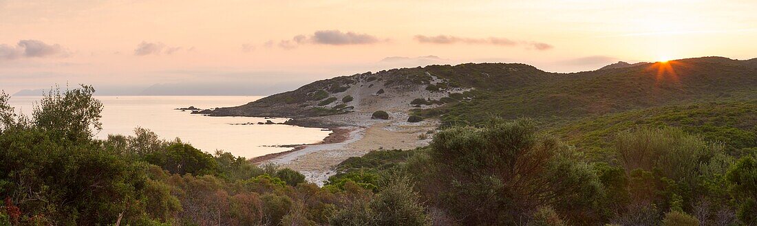 Frankreich,Haute Corse,bei Ile Rousse,Agriates Wüste,Ghignu Strand