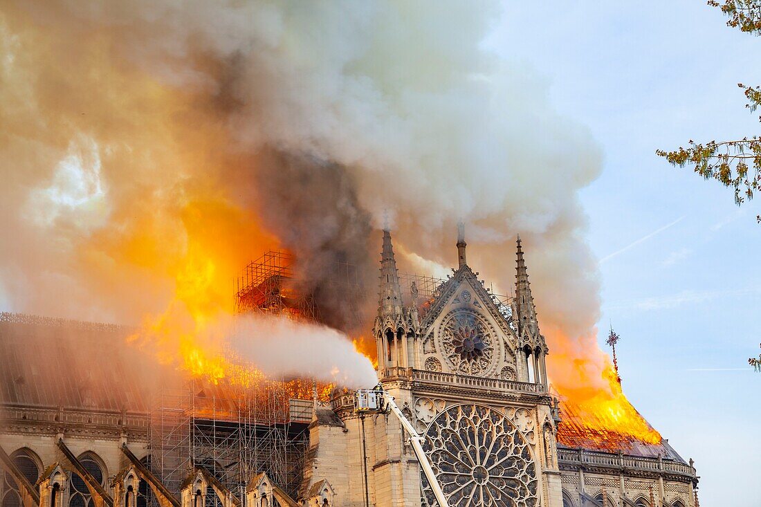 Frankreich,Paris,Gebiet, das von der UNESCO zum Weltkulturerbe erklärt wurde,Kathedrale Notre Dame de Paris,Brand, der die Kathedrale am 15. April 2019 verwüstete