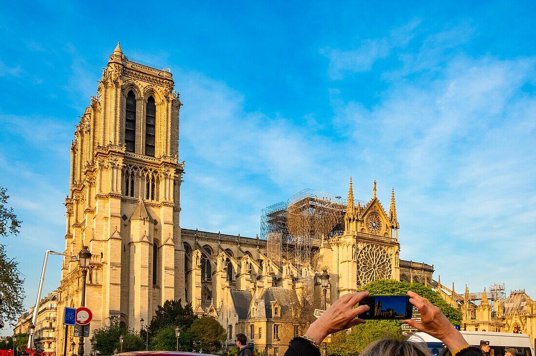 Frankreich,Paris,Weltkulturerbe der UNESCO,Ile de la Cite,Kathedrale Notre Dame nach dem Brand vom 15. April 2019