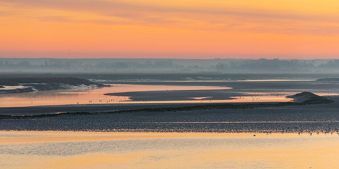 France,Somme,Baie de Somme,Dawn on the bay from the quays of Saint-Valery along the channel of the Somme