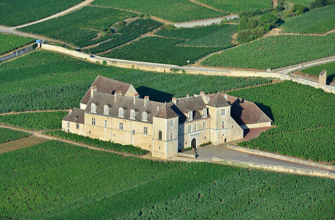 Frankreich,Côte d'Or,Burgunderlandschaften,von der UNESCO zum Weltkulturerbe erklärt,der Weinberg und das Schloss des Clos Vougeot (Luftaufnahme)