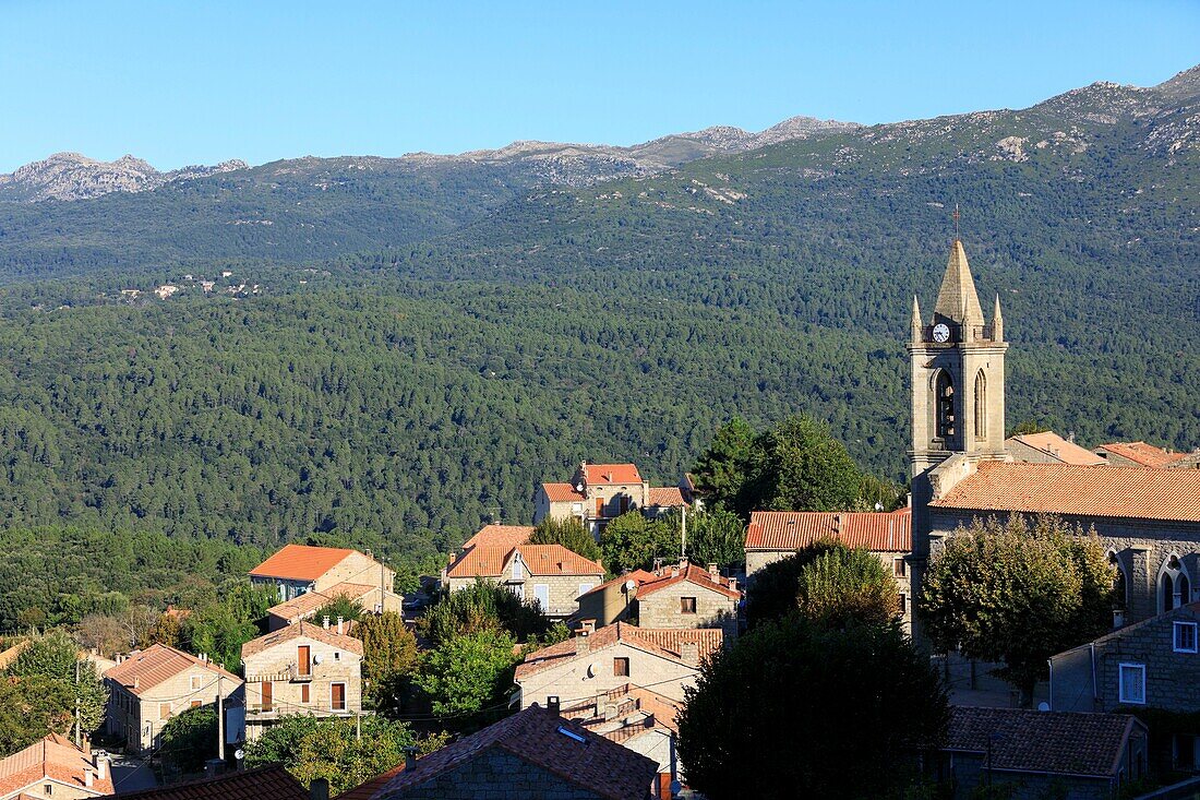 France,Corse du Sud,Zonza