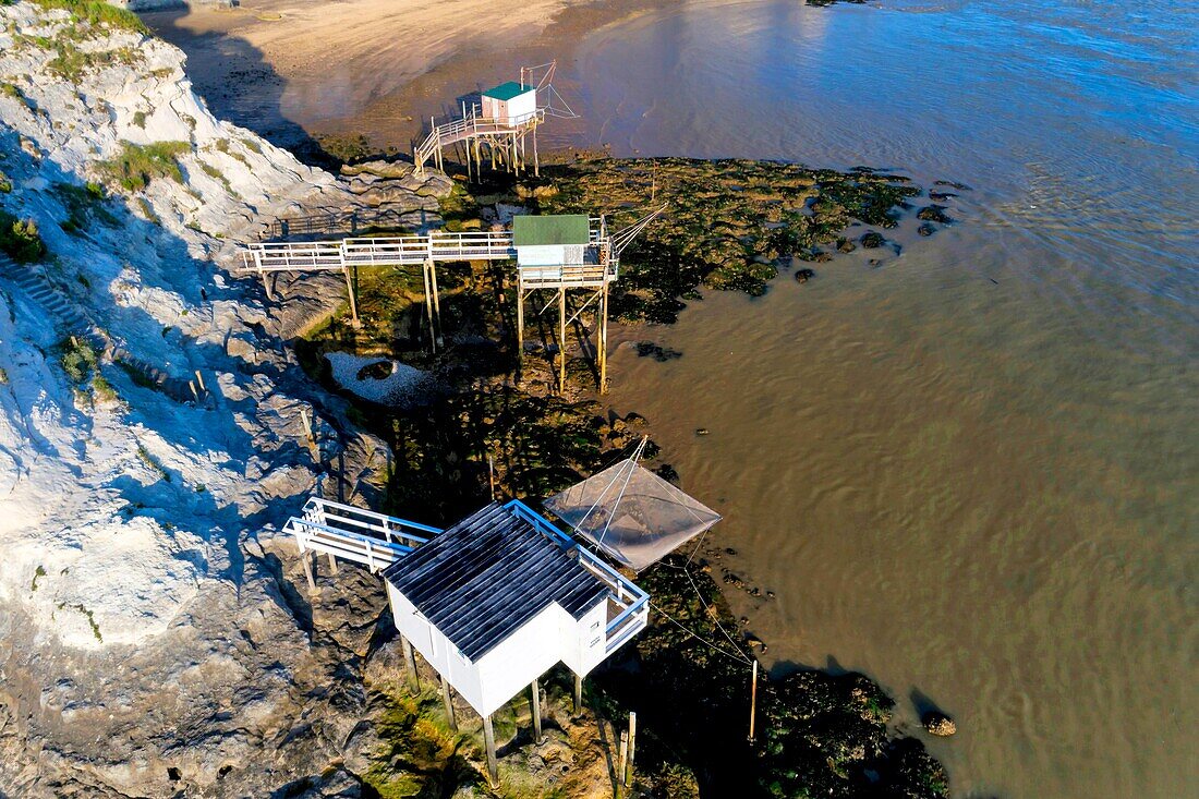 France,Charente-Maritime,Saintonge,Cote de Beaute,Gironde estuary,Meschers-sur-Gironde,cliffs and troglodyte dwellings (aerial view) (aerial view)