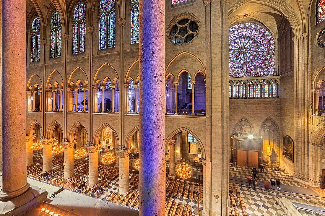 France,Paris,zone listed as World Heritage by UNESCO,city island,the nave of the Notre-Dame cathedral
