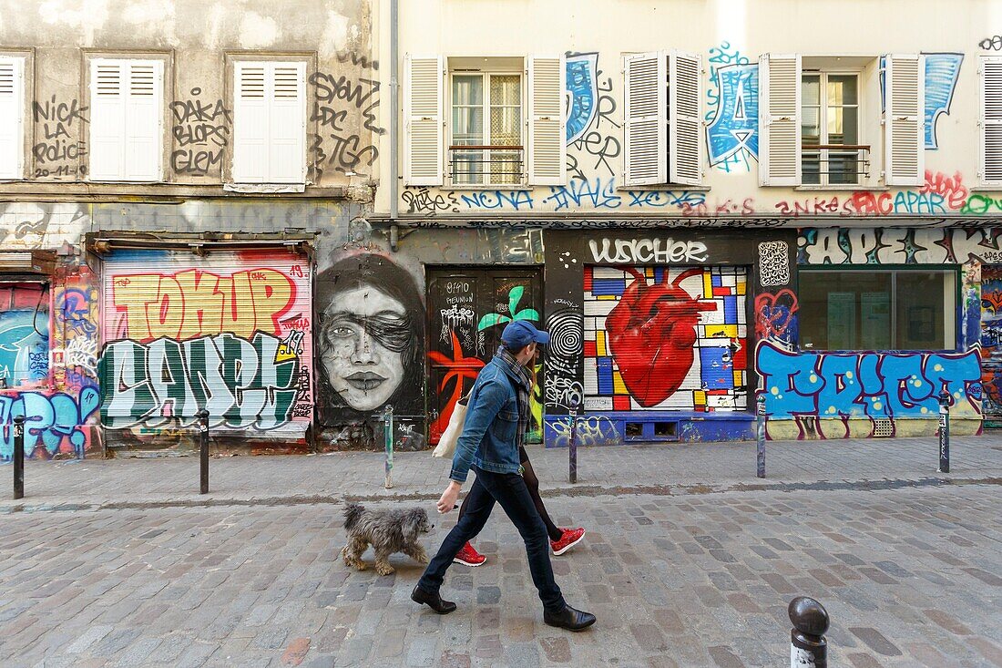 France,Paris,street art,graffitis and murals in Rue Denoyez