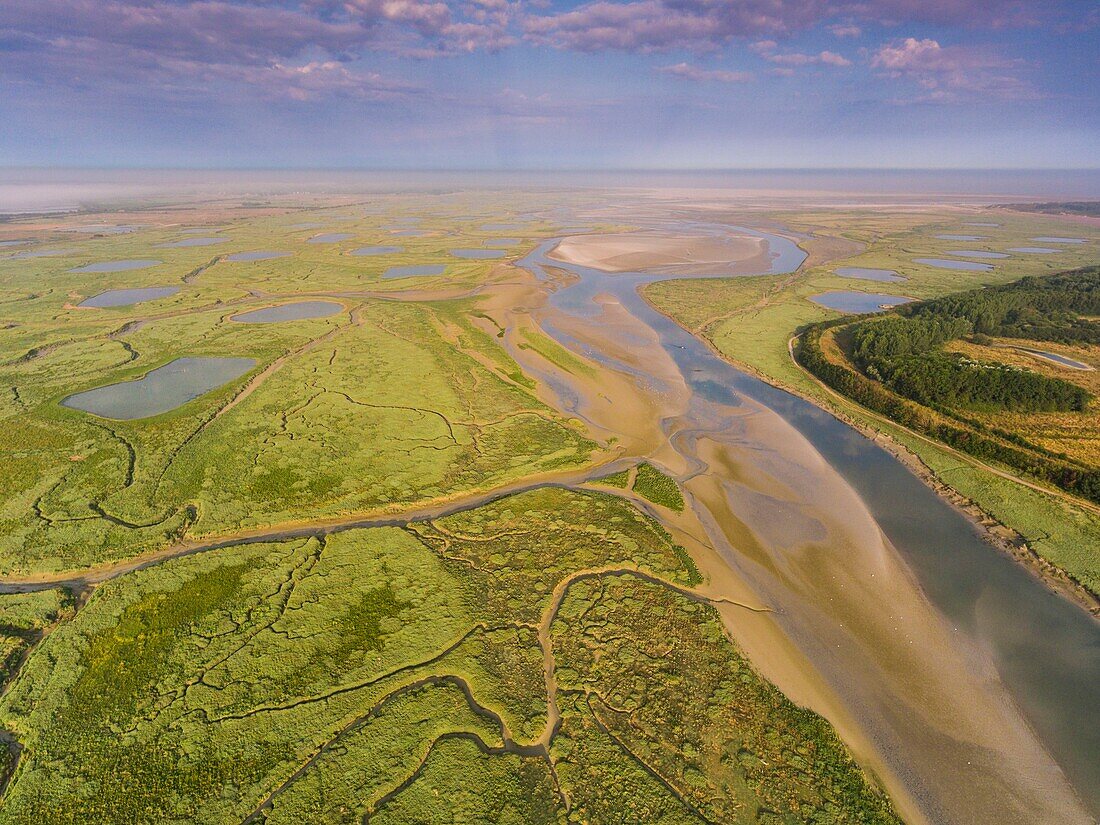 Frankreich,Pas de Calais,Bucht von Authie,Groffliers,Flug über die Bucht von Authie vom Hafen von Madelon,die Becken in den Salzwiesen sind die von Jagdhütten (Luftaufnahme)