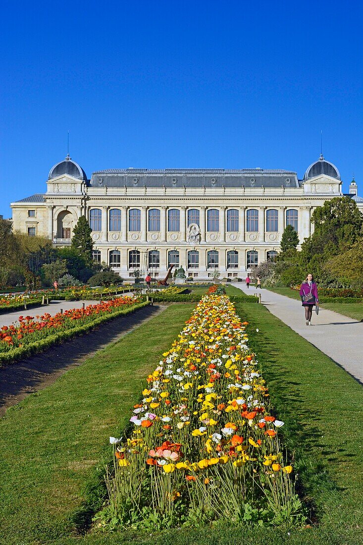 Frankreich,Paris,Naturhistorisches Museum,Die Pflanzengärten und die Große Galerie der Evolution