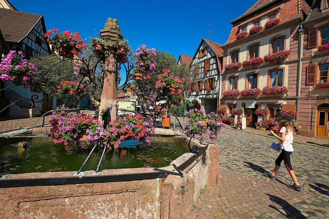 France,Haut Rhin,Alsace Wine Route,Bergheim,Fountain in the Place du Docteur-Pierre-Walter,It has been listed as a historical monument since 1929