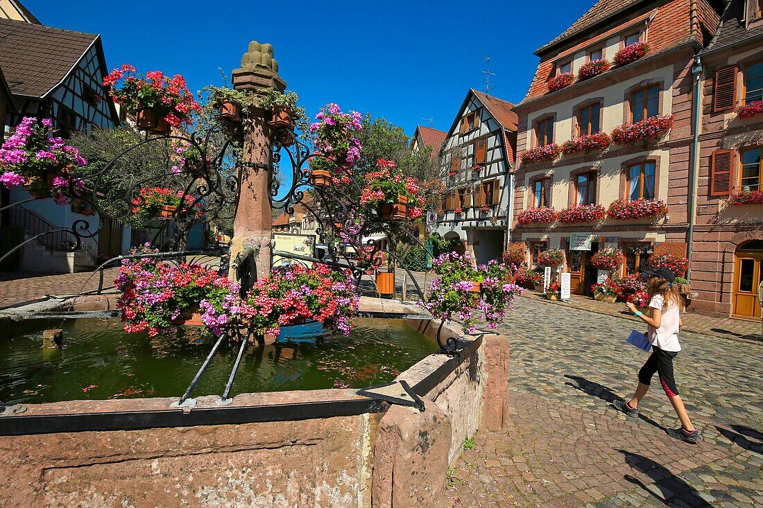 Frankreich,Haut Rhin,Elsässer Weinstraße,Bergheim,Brunnen auf dem Place du Docteur-Pierre-Walter,Er steht seit 1929 unter Denkmalschutz