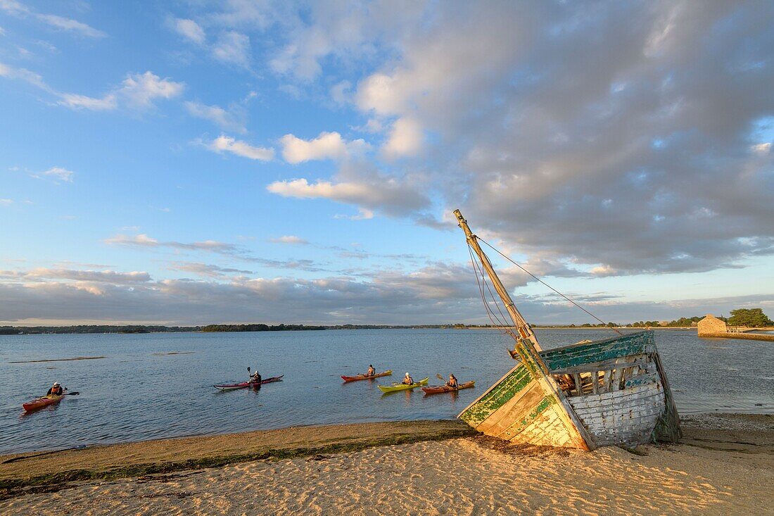 France,Morbihan,Arz Island,canoe kayak trip in the Gulf of Morbihan at sunset,in front of the wreck of the tip of Berno