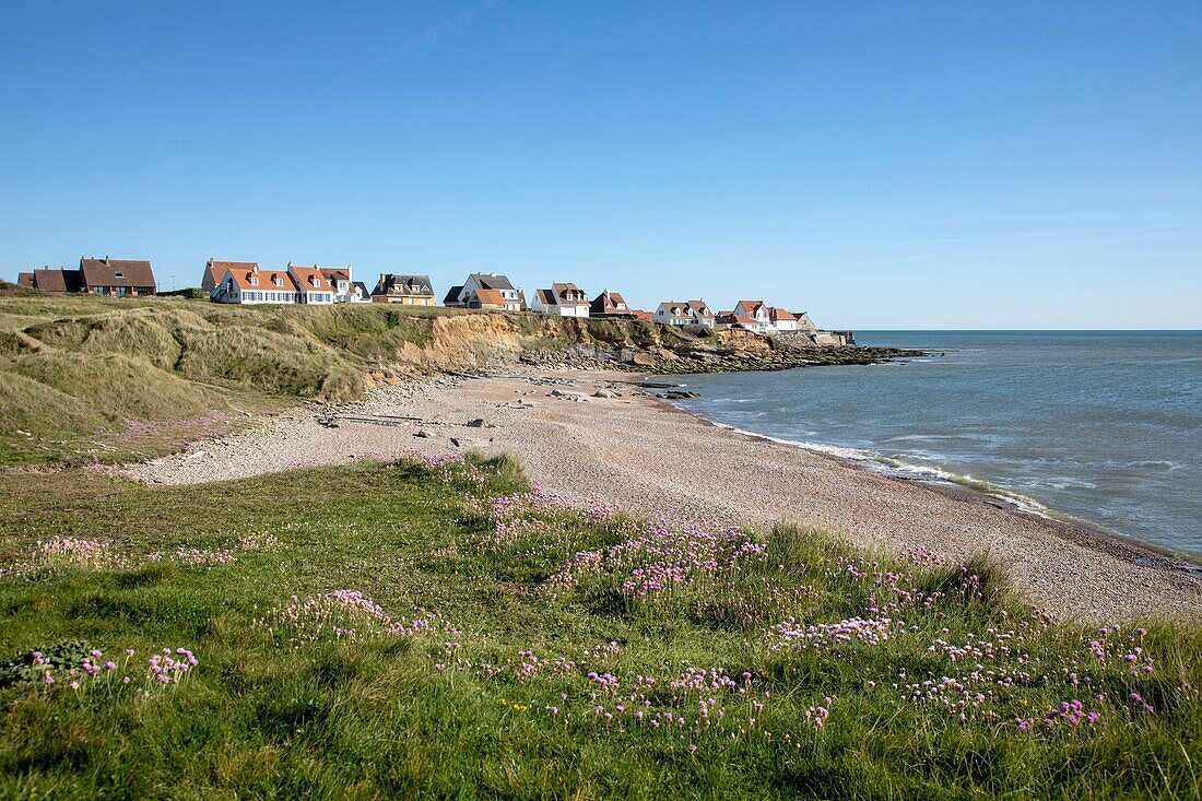 Frankreich,Pas de Calais,Audresselles,Strand der Pointe du nid de Corbet