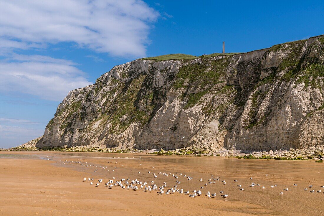 France,Pas de Calais,Opal Coast,Great Site of the two Caps,Escalles,Cap Blanc nez,the beach of Escalles and the cliffs of Cap Blanc Nez