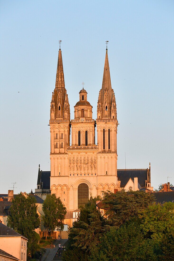 France,Maine et Loire,Angers,Saint Maurice cathedral