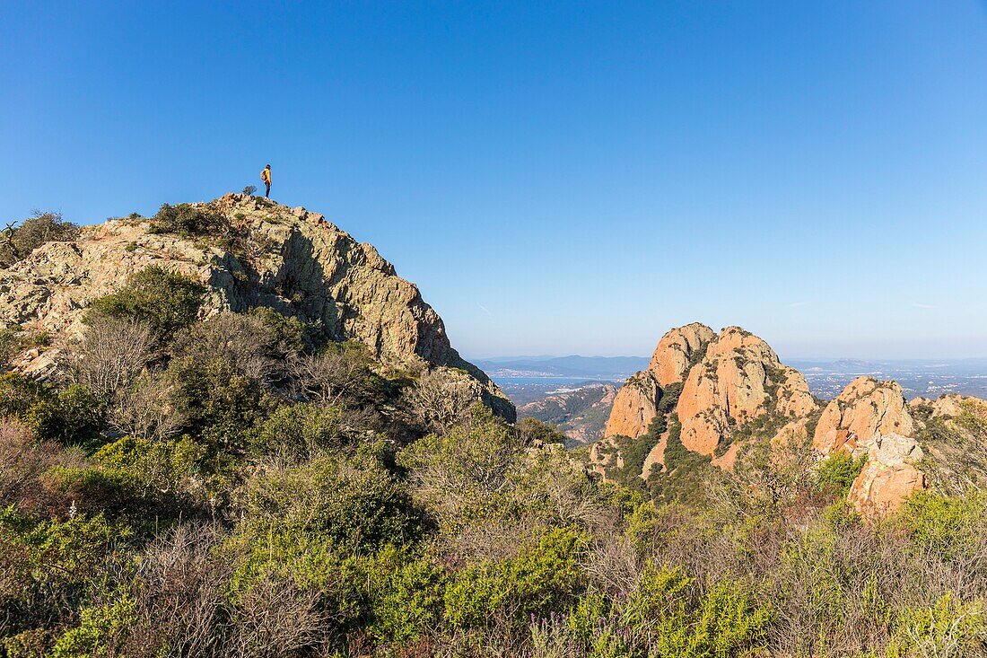 France,Var,Agay commune of Saint Raphael,Esterel massif,seen from Cap Roux on the summit of Saint Pilon (442m),the coastline of the Corniche de l'Esterel and in the background Antheor and Cap du Dramont