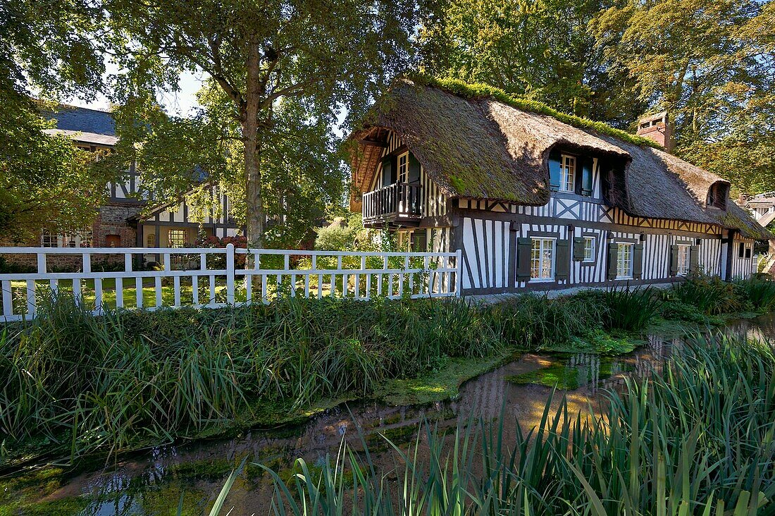 France,Seine-Maritime,Cote d'Albatre (Alabaster Coast),Pays de Caux,Veules les Roses,labelized the Most Beautiful Villages of France,thatched house along the river la Veules famous for the short length of its course (1,100 m)