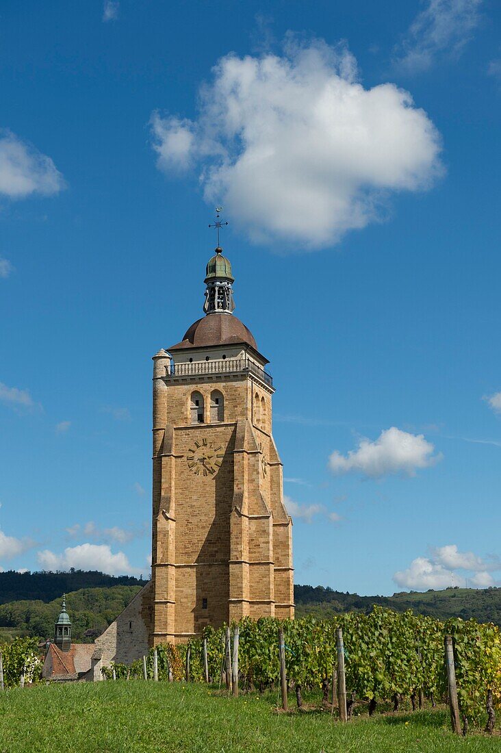 Frankreich,Jura,Arbois,der Glockenturm Wachturm der Kirche Saint Just dominiert den Weinberg von seinem 65 m