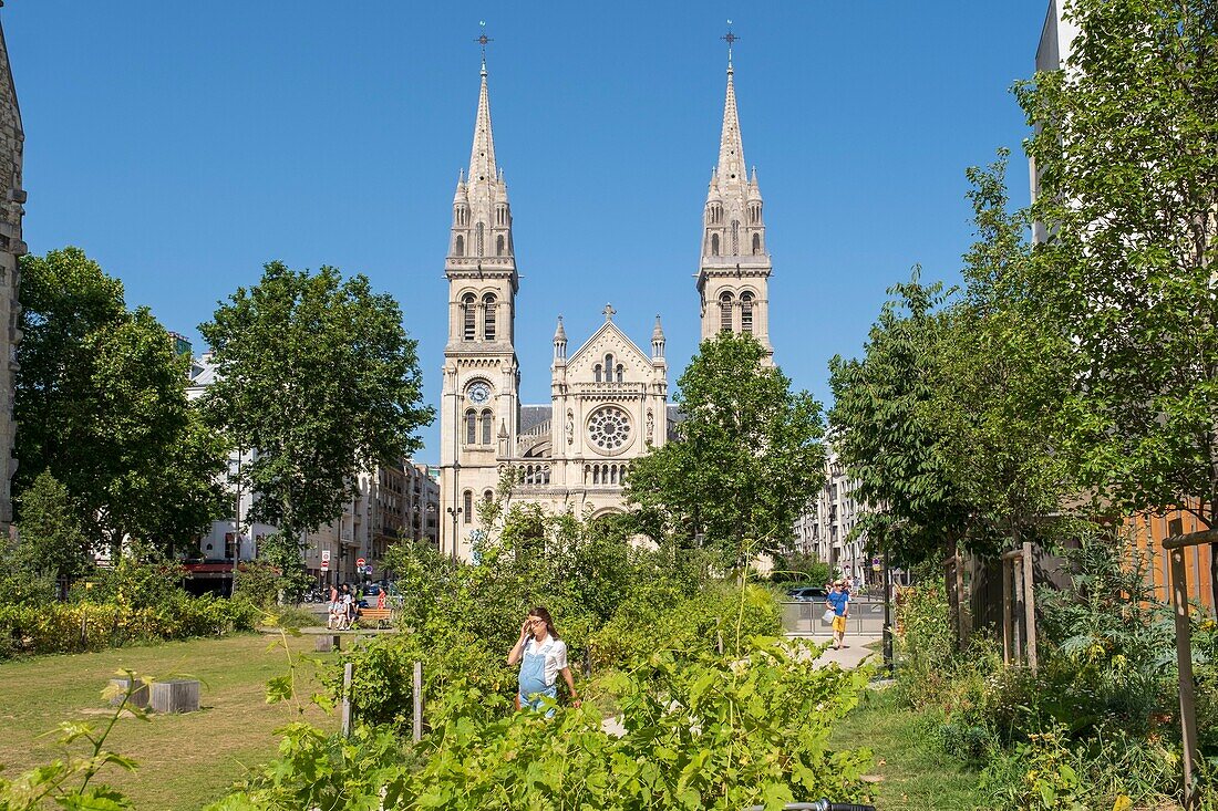 France,Paris,Saint Ambroise church,Truillot garden,lawn bordered by flowered fallows,vines and fruit trees